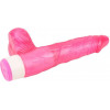 Chisa Novelties Pink Basic Luv Theory (CH97136) - зображення 5