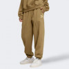 PUMA Коричневі жіночі спортивнi штани  Classics Sweatpants FL 671751/93 - зображення 1