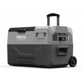   Brevia 22710