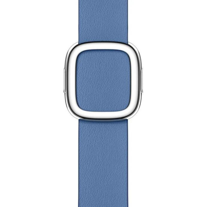 Apple Azure Modern Buckle Small для  Watch 38/40/41mm (MP8G3) - зображення 1