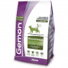 Gemon Cat Sterilised light stirility з індичкою 5 кг (8009470125546) - зображення 1