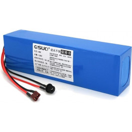   QiSuo 12V 10Ah QS-4810