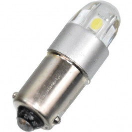   Tempest T4W 2SMD BA9S 24V WHITE tmp-L11204HW