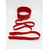 DS Fetish Нашийник з повідцем  Collar with leash metal Червоний (262012010~99) - зображення 1