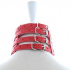 DS Fetish Нашийник з ланцюжком  Collar with chain leash red (262002013~99) - зображення 2