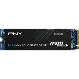   PNY CS1030 250 GB (M280CS1030-250-RB)