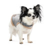 Pet Fashion Шлея для собак  Rob XS-2 (PR243844) - зображення 1