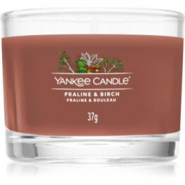   Yankee Candle Praline & Birch вотивна свічка 37 гр (YACPRBH_DAVC08)