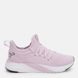   PUMA Жіночі кросівки для бігу  Softride Sophia 2 Wn 37790314 37.5 (4.5UK) 23.5 см Grape Mist- Black (4099