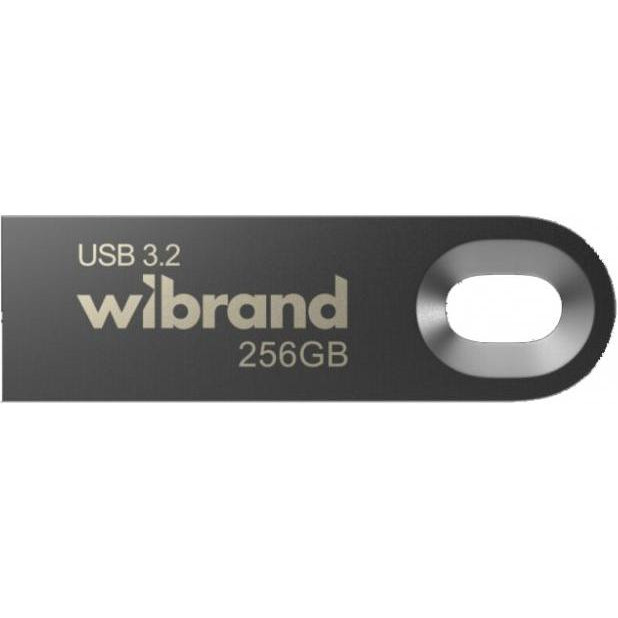 Wibrand 256 GB Eagle USB3.2 Gray (WI3.2/EA256U10G) - зображення 1