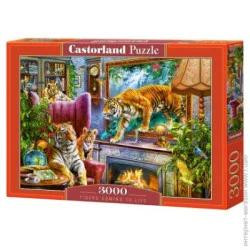 Castorland Тигры дома, 3000 элементов (C-300556) - зображення 1