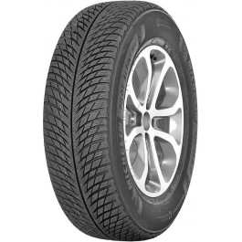   Michelin Pilot Alpin 5 (315/30R21 109V)