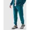 4F Спортивні штани чоловічі  Trousers Cas M603 4FWSS24TTTROM603-46S 2XL Зелені (5904698718351) - зображення 1