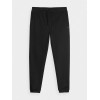 4F Спортивні штани чоловічі  Trousers Cas M517 4FAW23TTROM517-20S L Чорні (5904698492596) - зображення 1