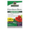 Natures Answer Глід, 1500 мг, Hawthorn Berry, , 90 вегетаріанських капсул - зображення 1