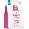 Brit Care Grain-free Puppy Salmon - зображення 1