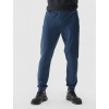 4F Спортивні штани утеплені чоловічі  Trousers Fnk M682 4FWAW24TFTRM682-31M M Сині (5905700094074) - зображення 1