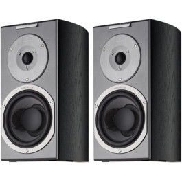   Audiovector R1 Signature Black Ash