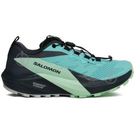   Salomon SENSE RIDE 5 GTX W L47216000 р.38 бірюзовий