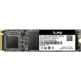   ADATA XPG SX6000 Pro 2 TB (ASX6000PNP-2TT-C)