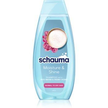 Schwarzkopf Schauma Moisture & Shine зволожуючий шампунь для нормального та сухого волосся 400 мл - зображення 1