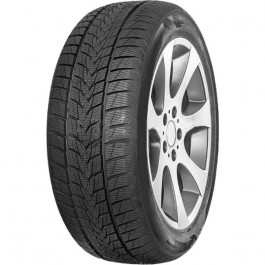   Minerva Tyres Minerva Frostrack UHP (225/40R18 92V)