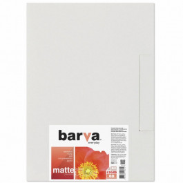   Barva A3 Everyday Matte 170г, 60л (IP-AE170-325)