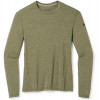 Smartwool Термофутболка чоловіча  Men's Merino 250 Baselayer Crew Boxed Winter Moss Heather (SW SW016350.K661) - зображення 1