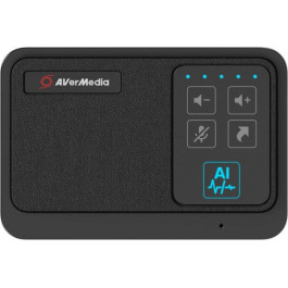   AVerMedia AS311 (61AS311000AB)