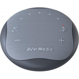   AVerMedia Pocket Speakerphone Hub AS315 (61AS315000AE)