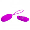 Pretty Love Joannna Vibrating Bullet Purple (6603BI0643) - зображення 3