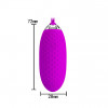 Pretty Love Joannna Vibrating Bullet Purple (6603BI0643) - зображення 4