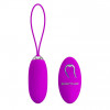 Pretty Love Joannna Vibrating Bullet Purple (6603BI0643) - зображення 9