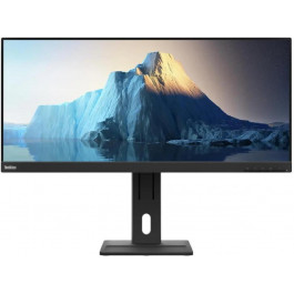   Lenovo ThinkVision E29w-20 (62CEGAT3EU)