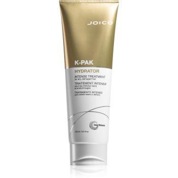 Joico K-PAK Hydrator поживний кондиціонер для пошкодженого волосся 250 мл - зображення 1