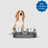 Petkit Fresh Nano-Metal Pet Cat Two Bowl Stand  (P5201) - зображення 4