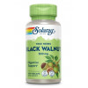 Solaray True Herbs Black Walnut 500 mg 100 VegCaps - зображення 1