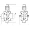 SD Forte 1" (SF242W25) - зображення 2