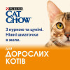 Cat Chow Adult  з куркою та кабачками в желе 85 г (7613036595049) - зображення 5