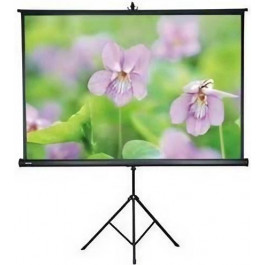   ATRIA TRM-NTSC-100D 100" (4:3) 203*153 см