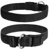 Collar Ошейник Dog Extremе 40 мм голубой (67012) - зображення 2