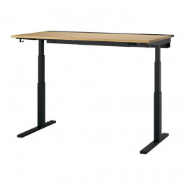   IKEA MITTZON 160х80 (295.302.35)