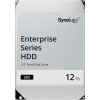 Synology HAS5300 12 TB (HAS5300-12T) - зображення 1