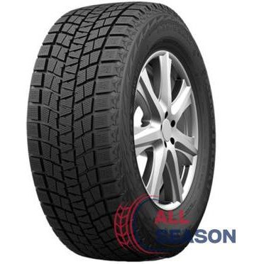 Kapsen Ice Max RW 501 (215/50R17 95H) - зображення 1