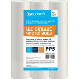   Ecosoft 2,5x10" 5 мкм (CPV325105ECO)