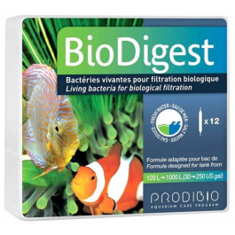   Prodibio Бактерии BioDigest 12 ампул (3594200001129)