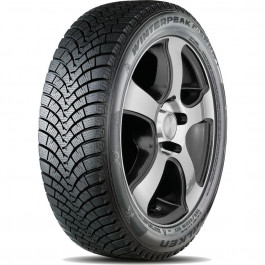   Falken F-Snow 1 Winter Peak (215/70R16 104T)