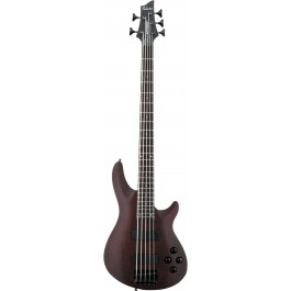 Schecter OMEN-5