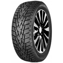   DoubleStar DW 01 (205/65R16 95T)