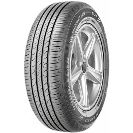   Goodyear EfficientGrip Performance (245/40R20 99V)